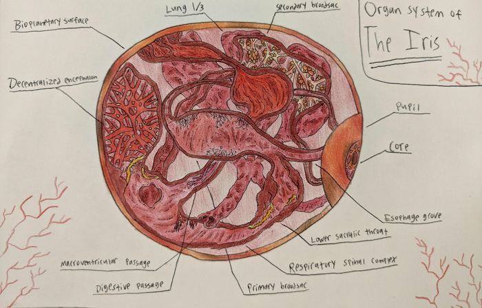 biology-of-the-iris-from-gemini-home-entertainment-gonna-v0-rw7pcnzm5tu91.jpg