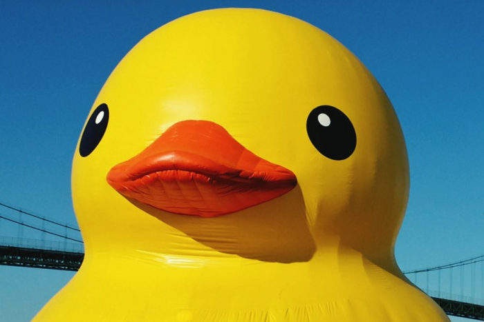 rubber-duck-stock-t.thumb.jpg.48927978acceb41f31383e1628824b74.jpg