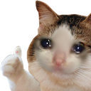 8637-sadcat-ok.png.959f6820029c5a2995054d42e428df3d.png