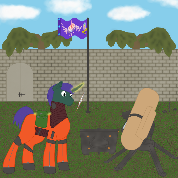 pony fort.png