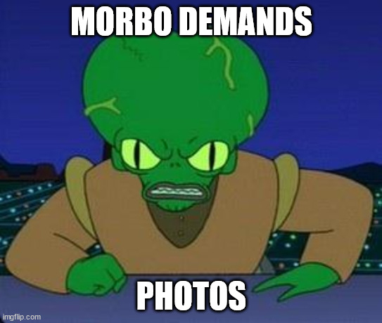 Morbodemandsphotos.jpg.d2de38e1b6e9efa7af542504d8a1d882.jpg