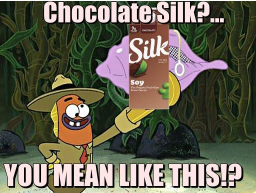 ChocolateSilk.jpg.0657d90c11c18dd0bebd9b74517b540f.jpg