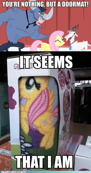 doormat-iron-will-fluttershy-7022653184.thumb.jpg.3a011d3c0d57e2698ae977e62eb400ab.jpg