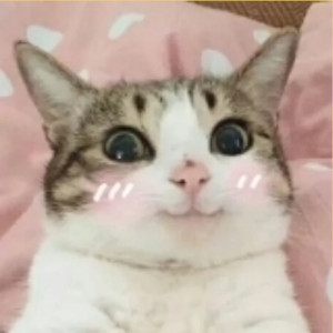 catuwu.jpg