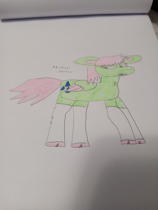 20250319_204335.thumb.jpg.bd87b29800648bc3d1d11263ad72200c.jpg