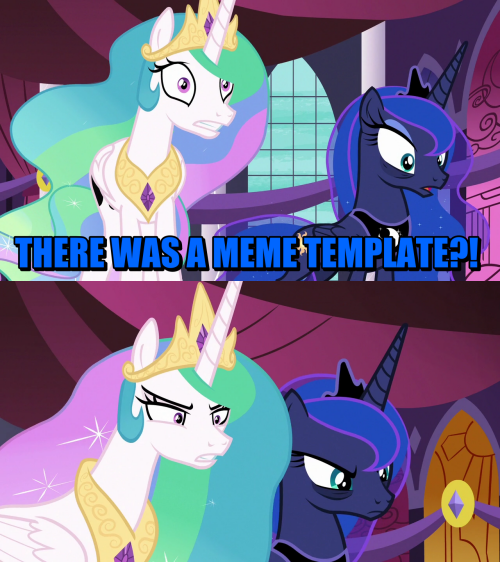 MEME.webp.39fd11ec4fab80571fdfdeba4397148e.webp