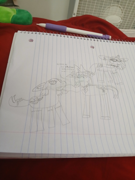 20250509_164603.jpg