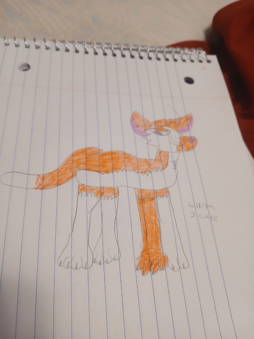 20250509_202940.jpg
