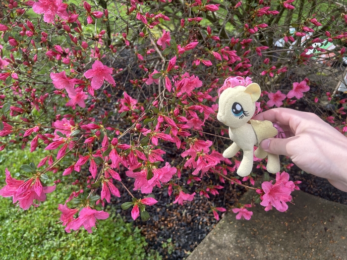 IMG_5495.jpeg