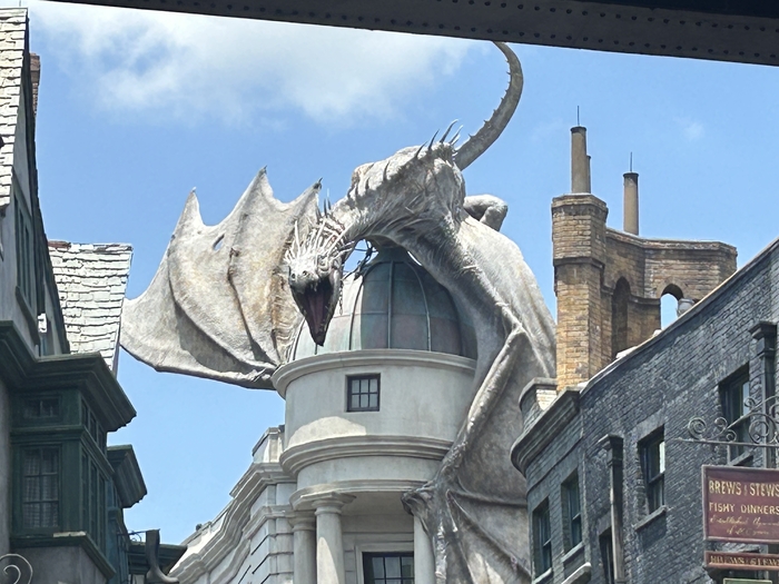 IMG_5636.jpeg