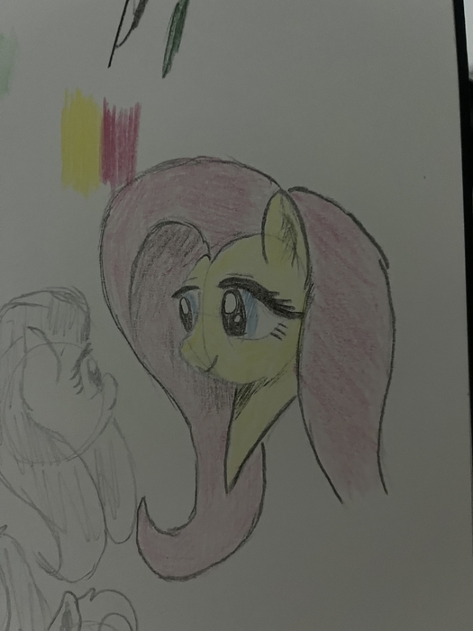 IMG_5995.thumb.jpeg.a66fc40ad5b60fd816c52f73face47b3.jpeg