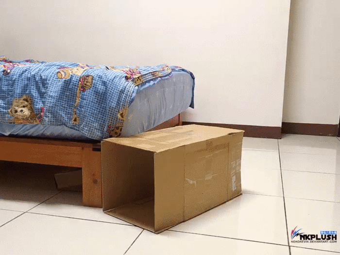 image.thumb.gif.8c0b54f2b2c0f4997e943140d36ed1a3.gif