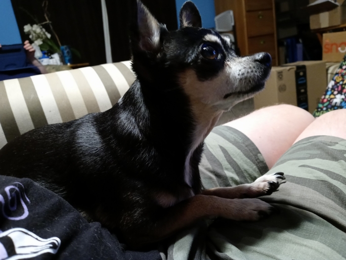 image.thumb.jpeg.7aac06b2b080817081e5e0eab67ab992.jpeg