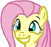 mlp-fgrin.png.c4c8b2fe482814dd870b3c09688a936a.png