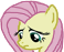 mlp-fsad.png.2b120357cb709127f905b53034f02679.png