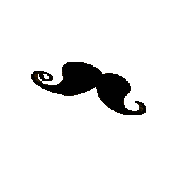 mustache_spin_3d.gif.1142f51b1fe430ec9da573946d1d4448.gif