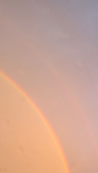 20250618_201932.jpg