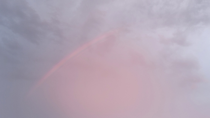 20250618_202629.jpg