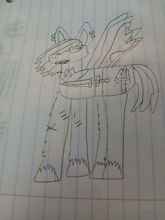 20250626_120144.thumb.jpg.34c898697a57738156f9356d3a289989.jpg