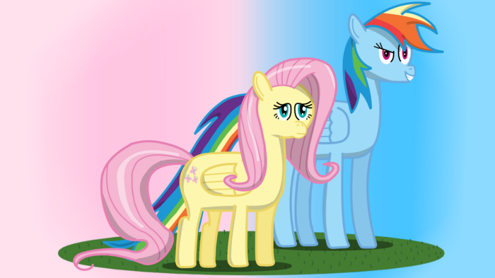 Fluttershy and Rainbow Dash fan art.png