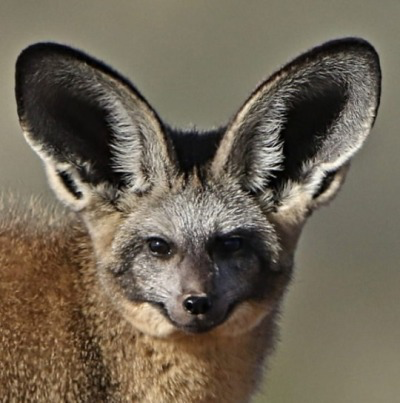 IMG_7017.png.0687566f20d55147034296ebc3af9f22.png
