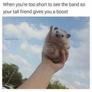 image.png.dafe1749843726e09c6fa52c22cb929f.png