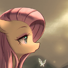 Dawnshine Wonder