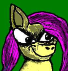 FluttersSez