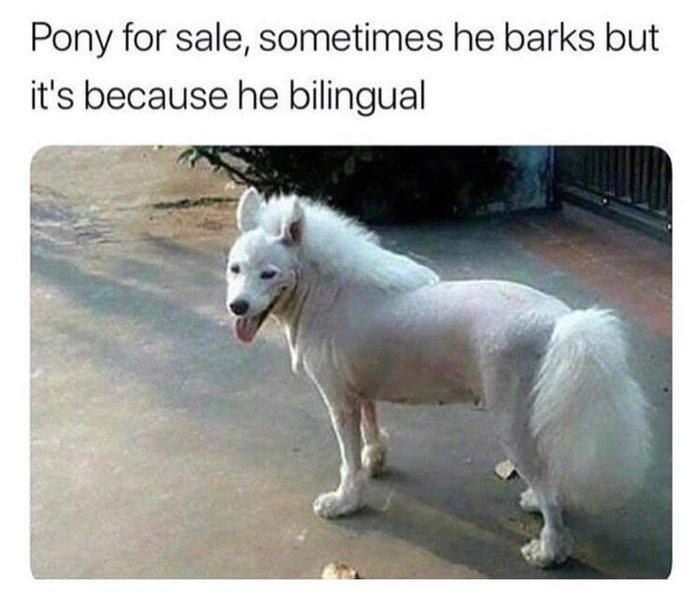5b7f823ce0632.thumb.jpeg.f097a0153a8e01c1f1556ddd94699e34.jpeg