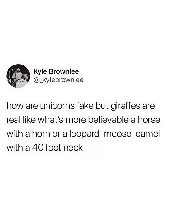 7xg7fmfzigef1.thumb.jpeg.57f134c5704dc0e8466f753e90f9043f.jpeg
