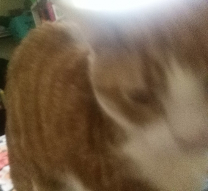 IMG_20250720_130031583.thumb.jpg.b28c3f1e5a1e4c9834e313d94ff66bae.jpg