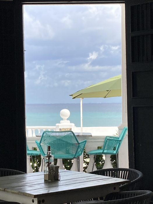 IMG_2144.jpeg
