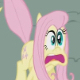 Fluttersheee