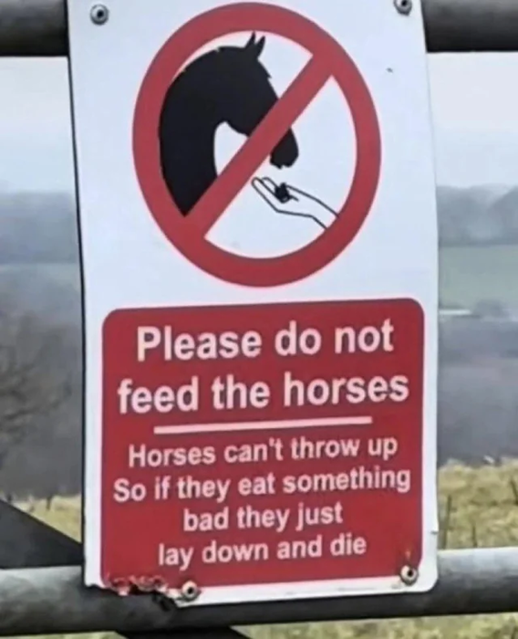 horses-cant-throw-up-is-that-true-i-once-heard-that-rats-v0-isd87tukkxdf1.jpeg.thumb.webp.36b332c845bac5968269950880a9fb06.webp