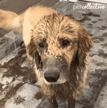 image.gif.030e163d7e9e6d3239fd0eddfe888044.gif
