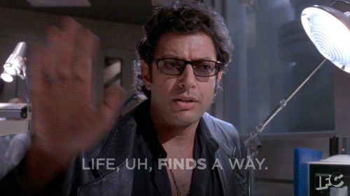 image.gif.3550853f04b412665db56d4e1575949a.gif