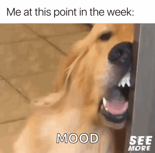 so-tired-tired.gif.9d73f4599e945ea90c55e511b22e0a55.gif