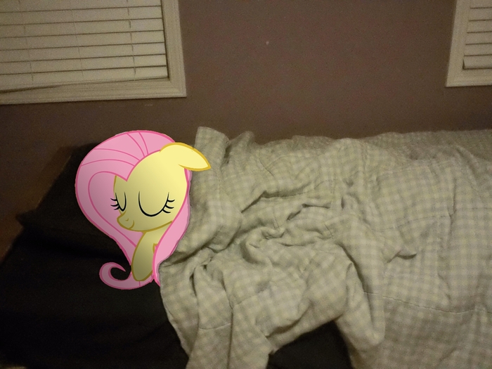 70172__safe_fluttershy_photo_vector_bed_sleeping_pony_poniesinreallife_artist-colon-errorboy6090.thumb.jpg.188d21c9a6b29e50a40ff6e37ea267e6.jpg