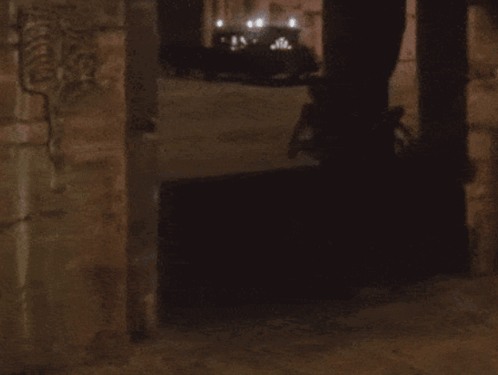 IMG_0395.gif.909cd5aa70962920157b00c7d26aef83.gif