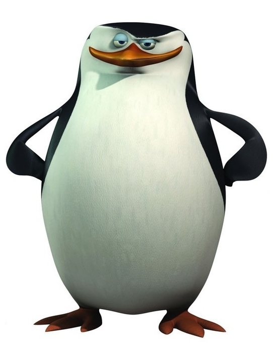 Skipper.jpg