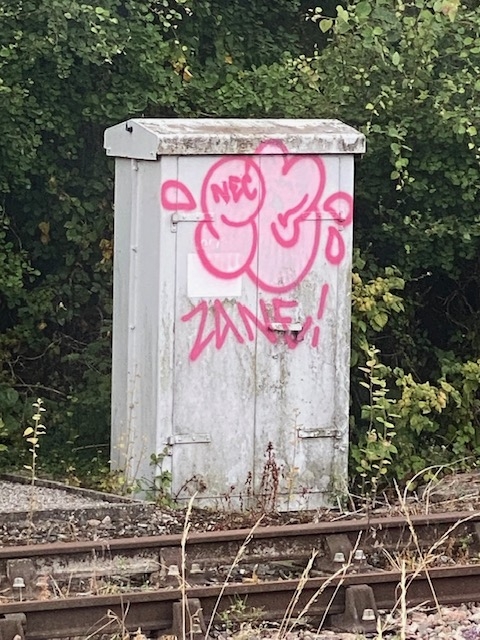 image.jpeg.4f0e240ebb765dc80142da1bb3ebbf9f.jpeg