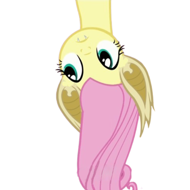 FlutterBatHeadOver.png