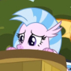 Savystarscout