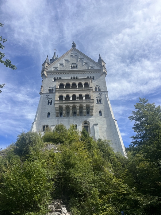 IMG_6816.jpeg