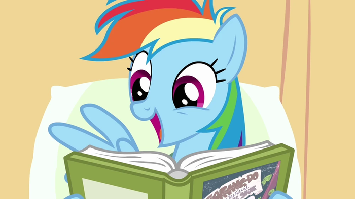Rainbow_Dash_enjoys_reading_S02E16.webp