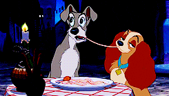 IMG_2272.gif.4d769489f9cfbd534cfcd7210dbf9327.gif