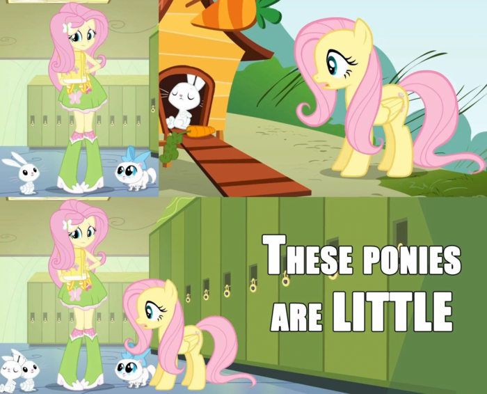 Smol pony pons.png