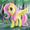 FlutterCushion