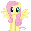 flutter guy 115