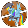 RainbowDash Scout